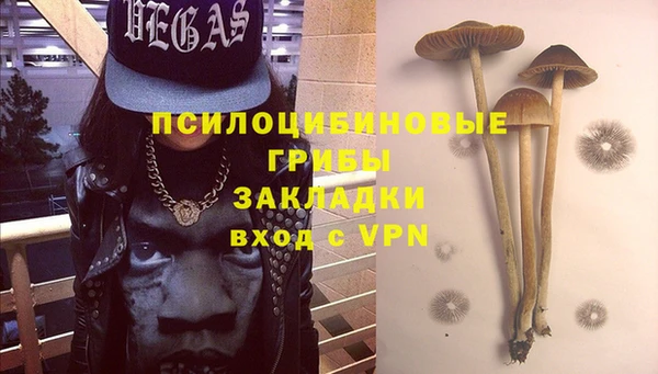 кокс Аркадак
