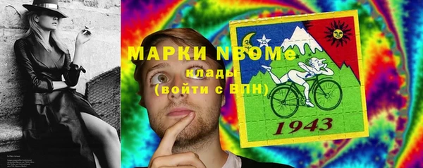 мет Заполярный