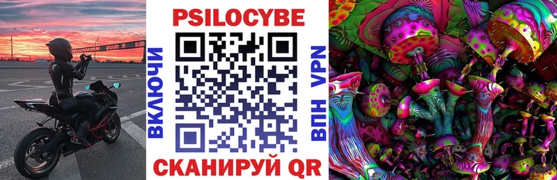 Галлюциногенные грибы Cubensis блэк спрут ссылка Аркадак где купить наркоту