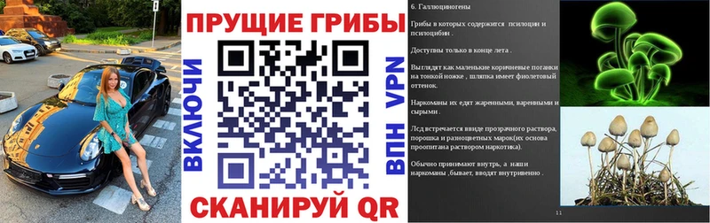 Псилоцибиновые грибы прущие грибы Аркадак